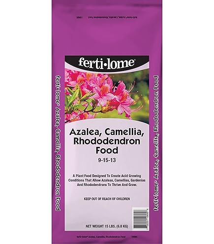 菫 Li-Ning Windstorm 72 Power Badminton Racket - Zircon Purple